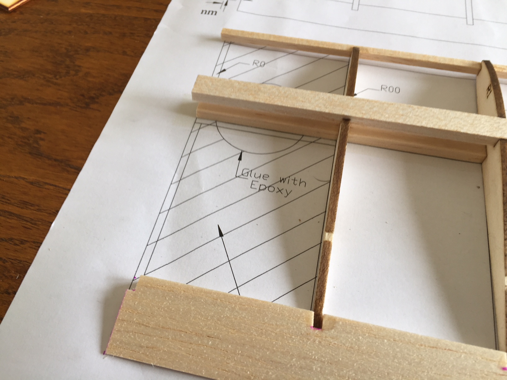 Echo Fox - Beginner's glider